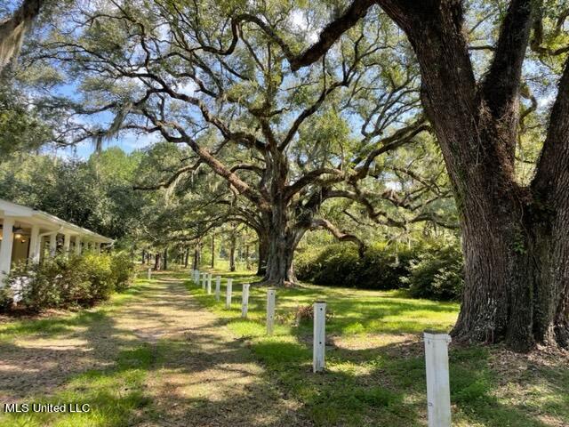 3000 Kiln Delisle Road Kiln, MS 39556 - Photo 6 of 28 IMG_7491