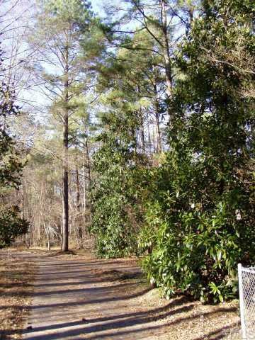 2561 Old Drug Store Road Garner, NC 27529 - Photo 8 of 10 Gallery Image 8