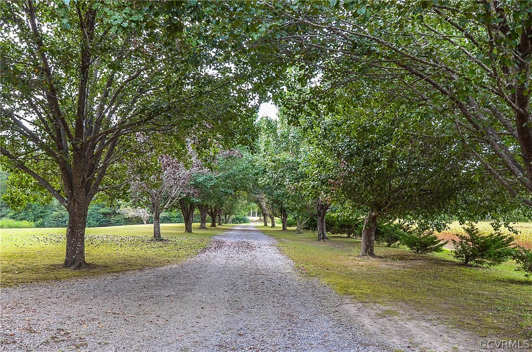 545 Stampers Bay Road Hartfield, VA 23071 - Photo 4 of 50 Gallery Image 4
