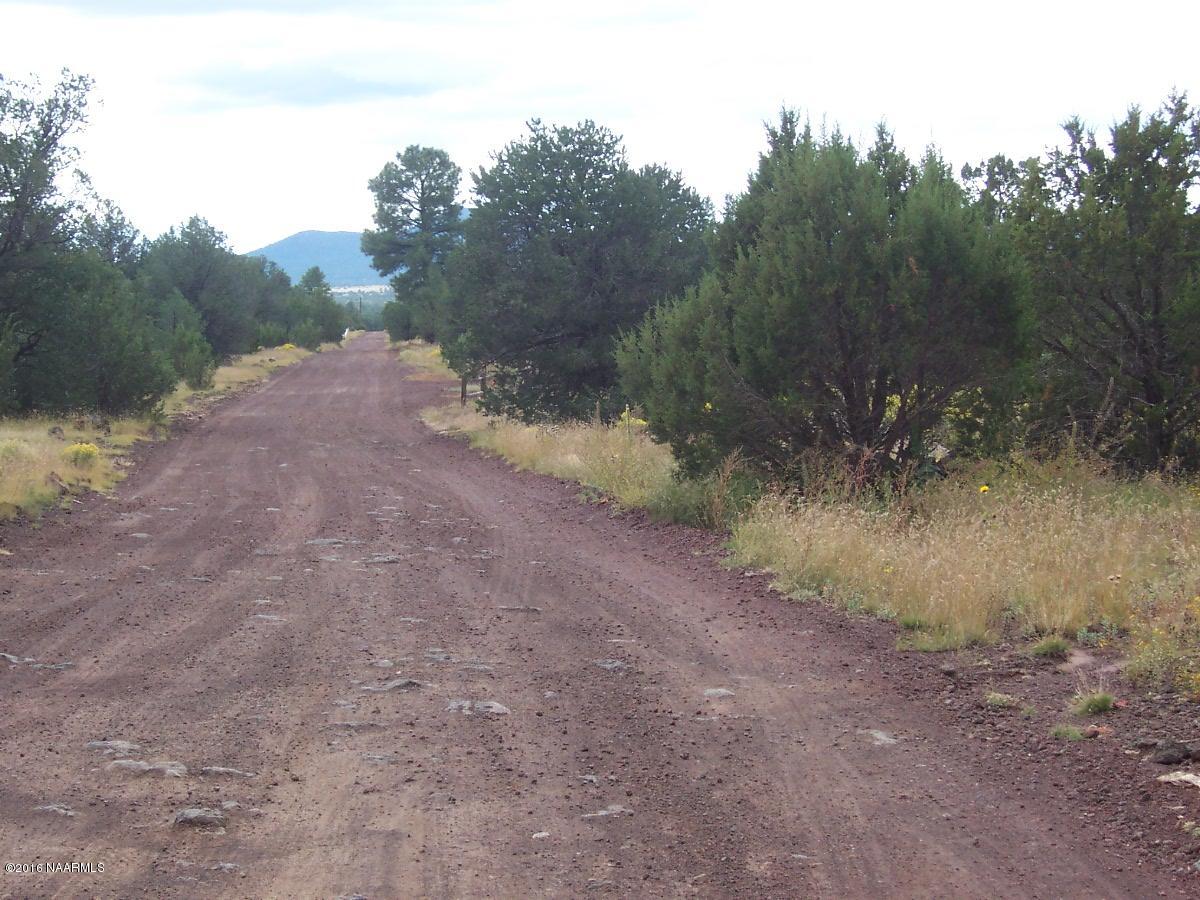 6548 North Santa Fe Road Williams, AZ 86046 - Photo 1 of 4 000_3170