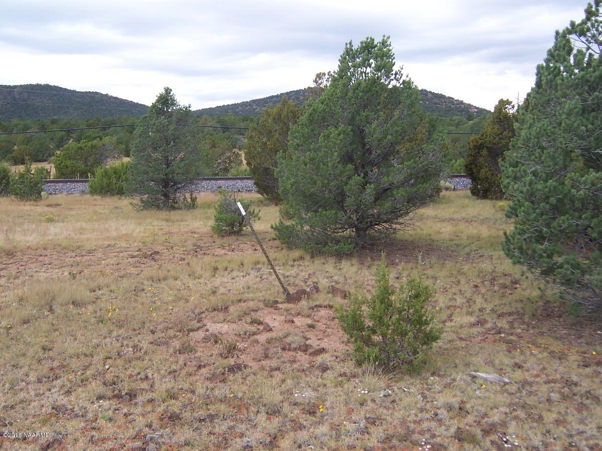 6548 North Santa Fe Road Williams, AZ 86046 - Photo 2 of 4 000_3195