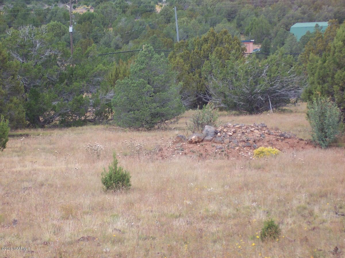 6548 North Santa Fe Road Williams, AZ 86046 - Photo 4 of 4 000_3192