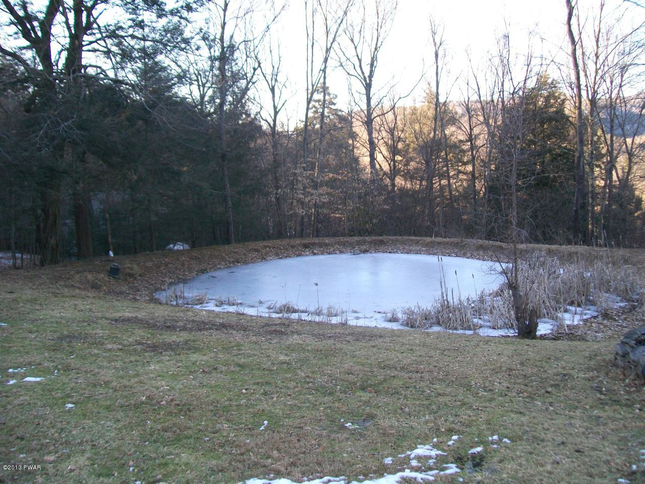 3748 River Road Equinunk, PA 18417 - Photo 9 of 27