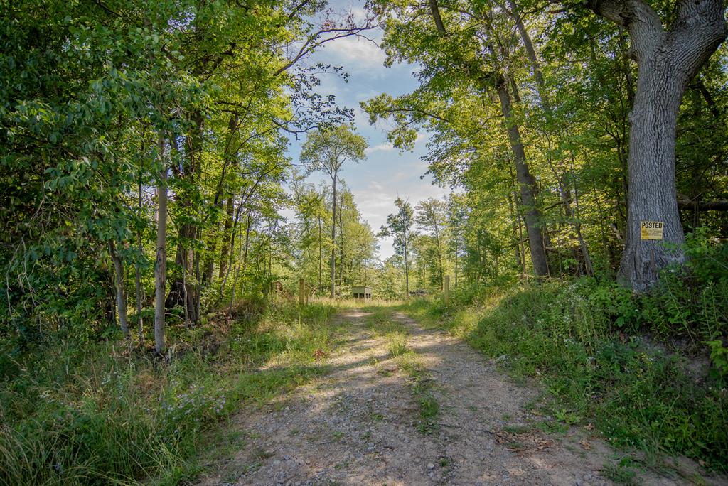Lot #7 County Line Road Venus, PA 16364 - Photo 15 of 16