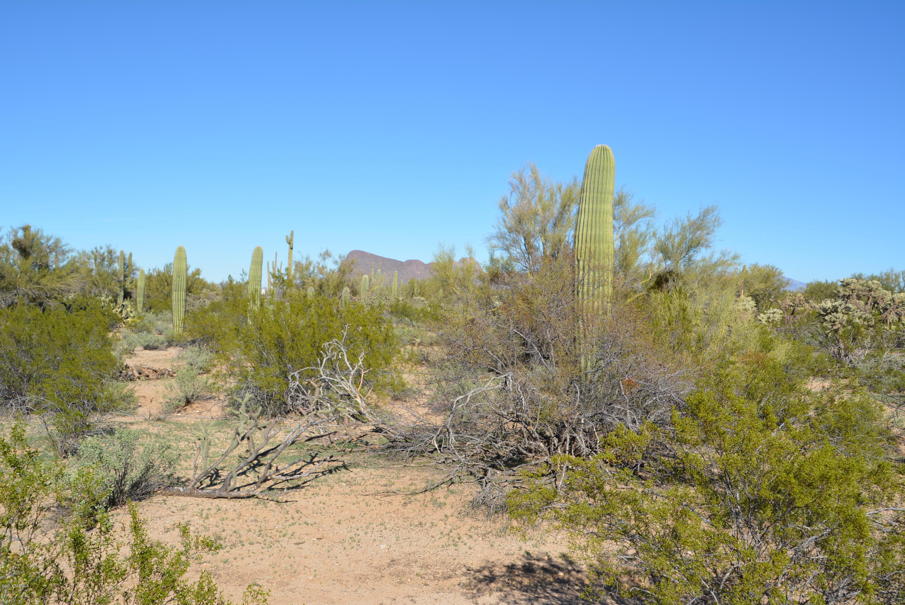 11700 West Rudasill Road, Unit LOT 4 Tucson, AZ 85743 - Photo 2 of 33