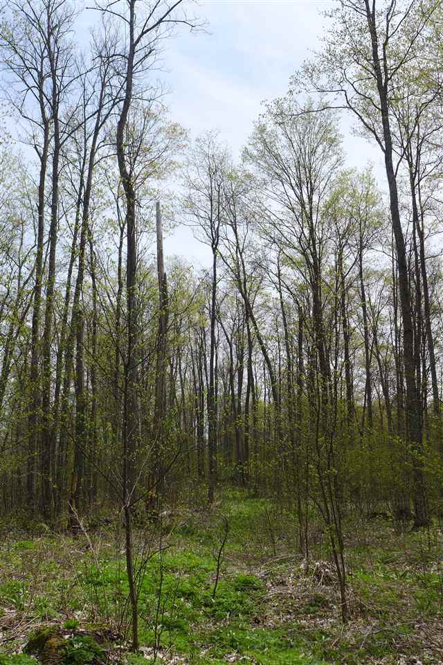 6777 Peters Road Boyne Falls, MI 49713 - Photo 10 of 57 1831661-9.JPG