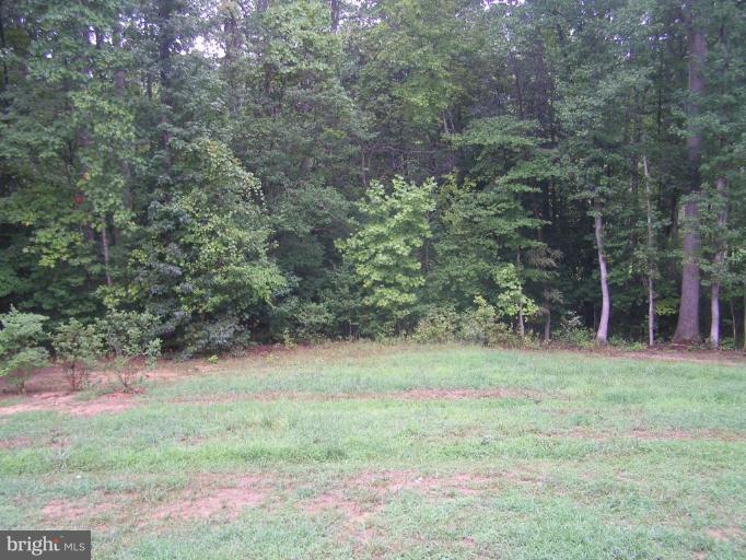 9161 Lothian Road King George, VA 22485 - Photo 4 of 13 Back yard