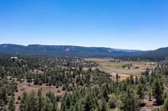 a view of a lot of trees and mountains
