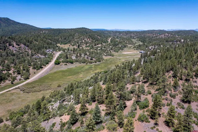 a view of a field with a mountain in the background