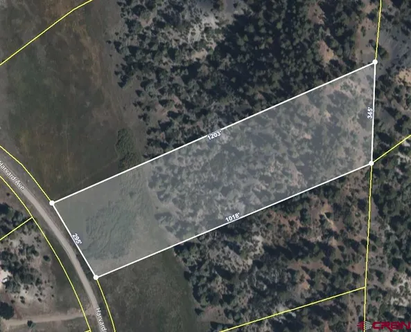 a view of a lake with a city