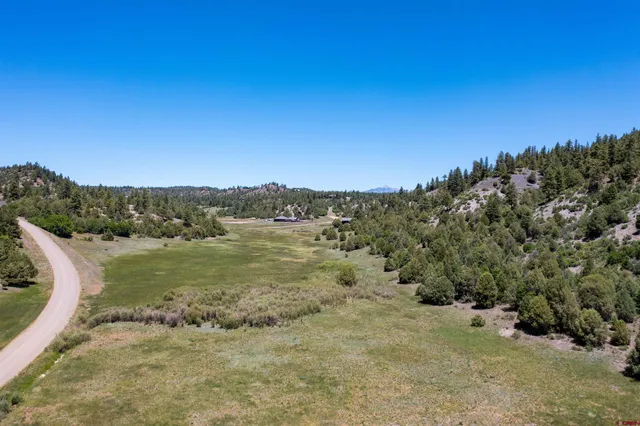a view of a field with an ocean
