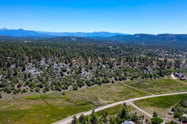 a view of a lush green hillside and a houses