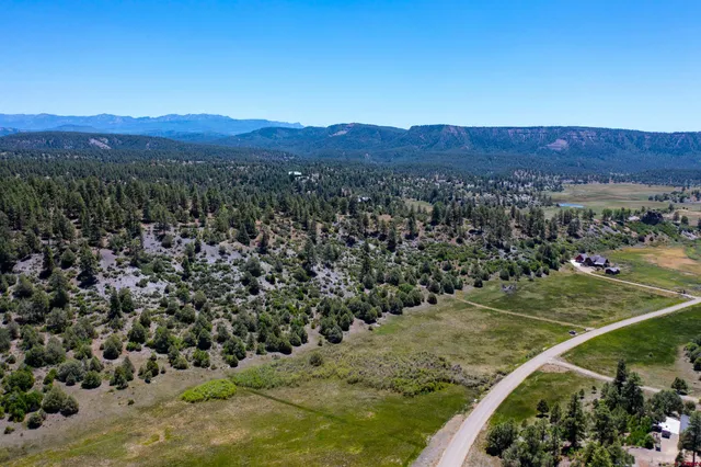 a view of a lush green hillside and houses