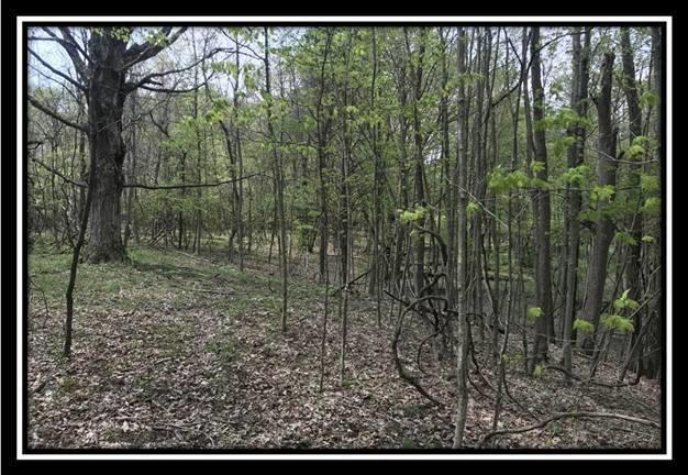 6777 Howard Road Sunbury, OH 43074 - Photo 11 of 21