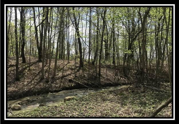 6777 Howard Road Sunbury, OH 43074 - Photo 13 of 21