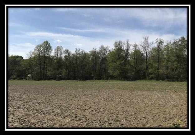6777 Howard Road Sunbury, OH 43074 - Photo 18 of 21