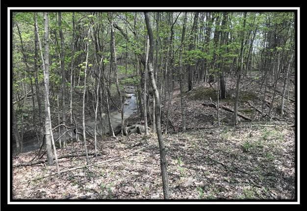 6777 Howard Road Sunbury, OH 43074 - Photo 3 of 21