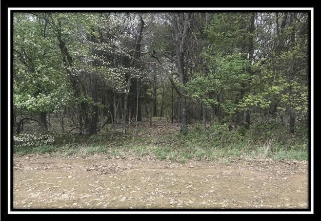 6777 Howard Road Sunbury, OH 43074 - Photo 4 of 21