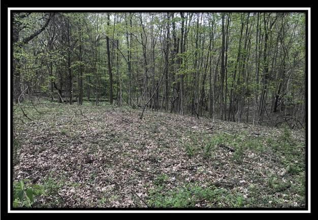 6777 Howard Road Sunbury, OH 43074 - Photo 7 of 21