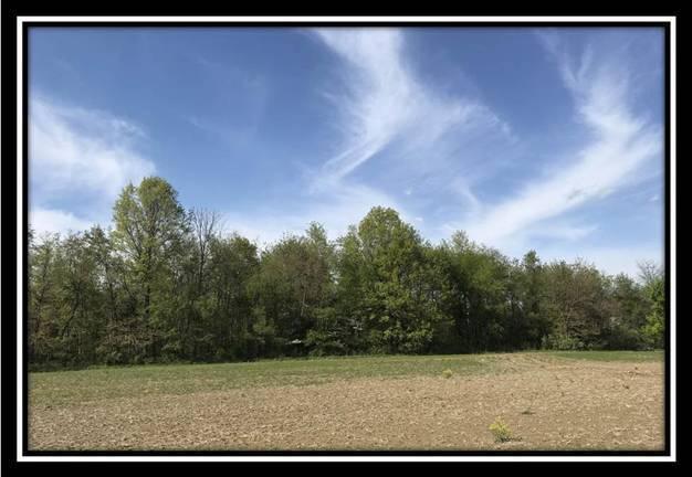 6777 Howard Road Sunbury, OH 43074 - Photo 8 of 21