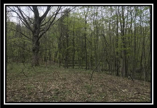 6777 Howard Road Sunbury, OH 43074 - Photo 9 of 21
