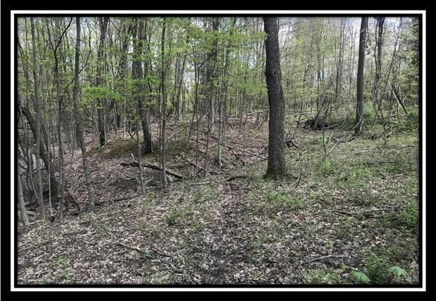 6777 Howard Road Sunbury, OH 43074 - Photo 10 of 21