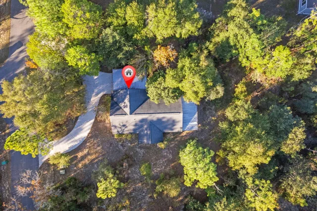 a close up of a tree