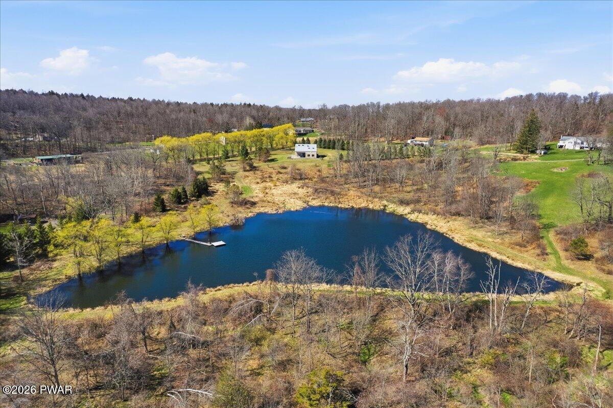 230 Big Hills Road Lake Ariel, PA 18436 - Photo 6 of 79