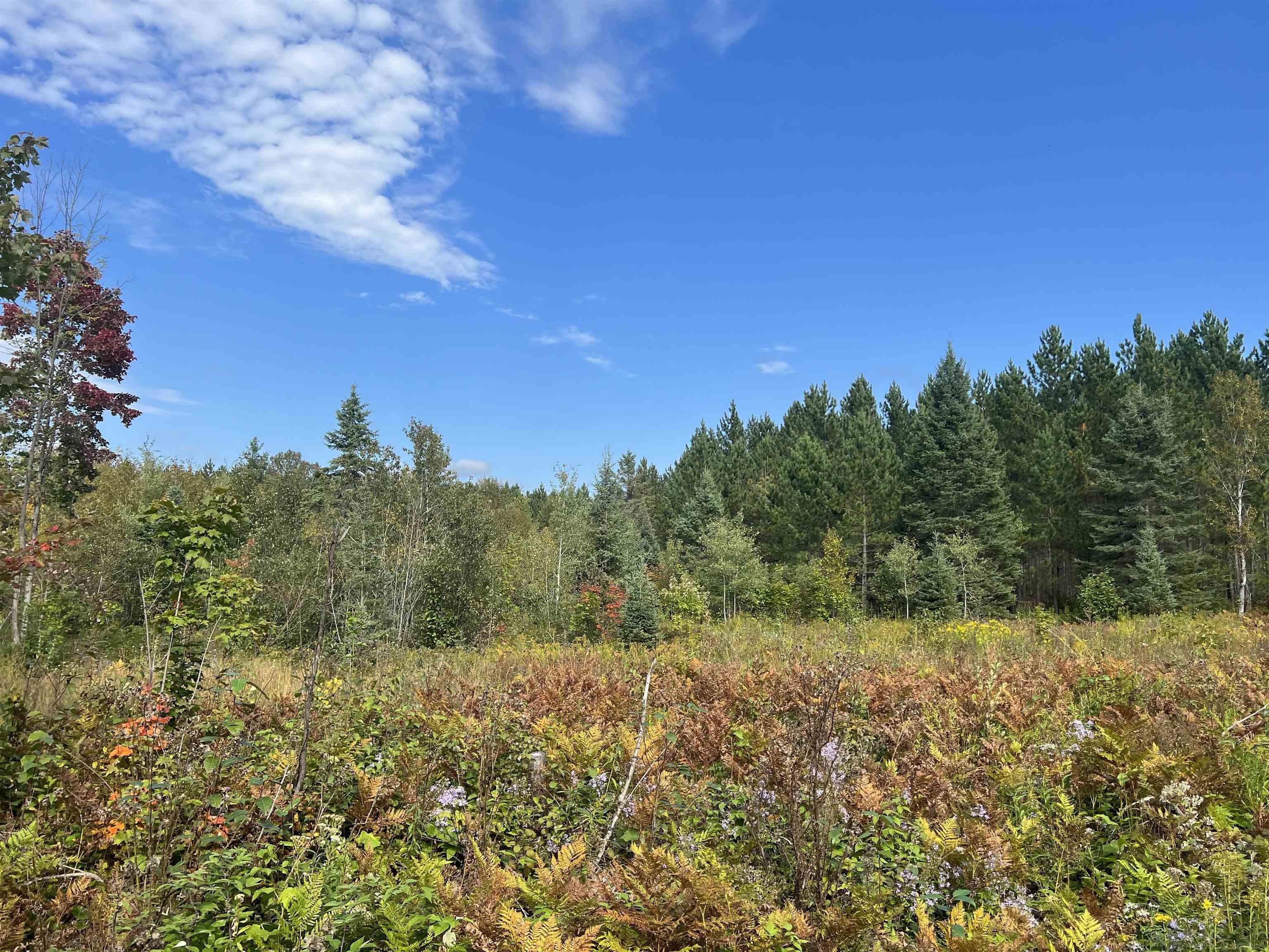 Xxx Ford River Road Felch, MI 49831 - Photo 24 of 32 Gallery Image 24