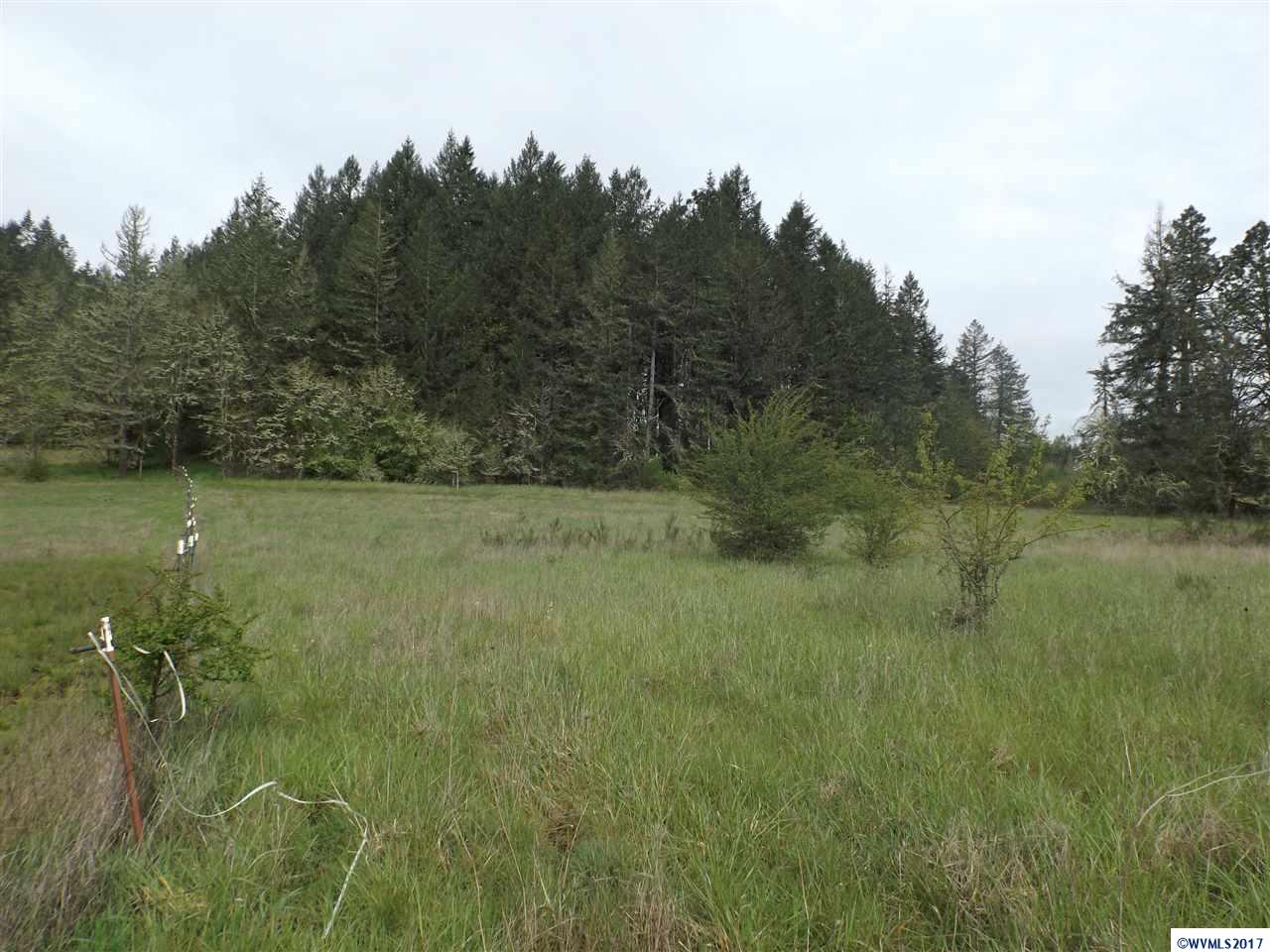 Weldon (lot 209) Road Lebanon, OR 97355 - Photo 2 of 17
