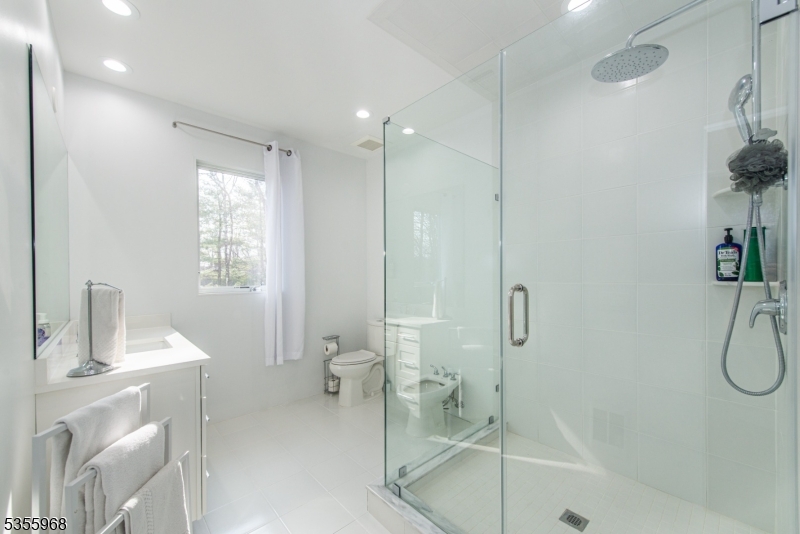 34 West Shore Road Mountain Lakes, NJ 07046 - Photo 17 of 43 a bathroom with a shower sink and mirror