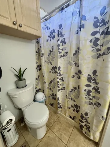 a white toilet sitting next to a shower curtain