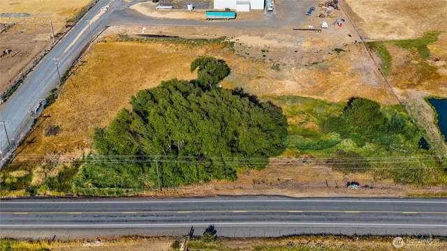 a view of a garden from a window