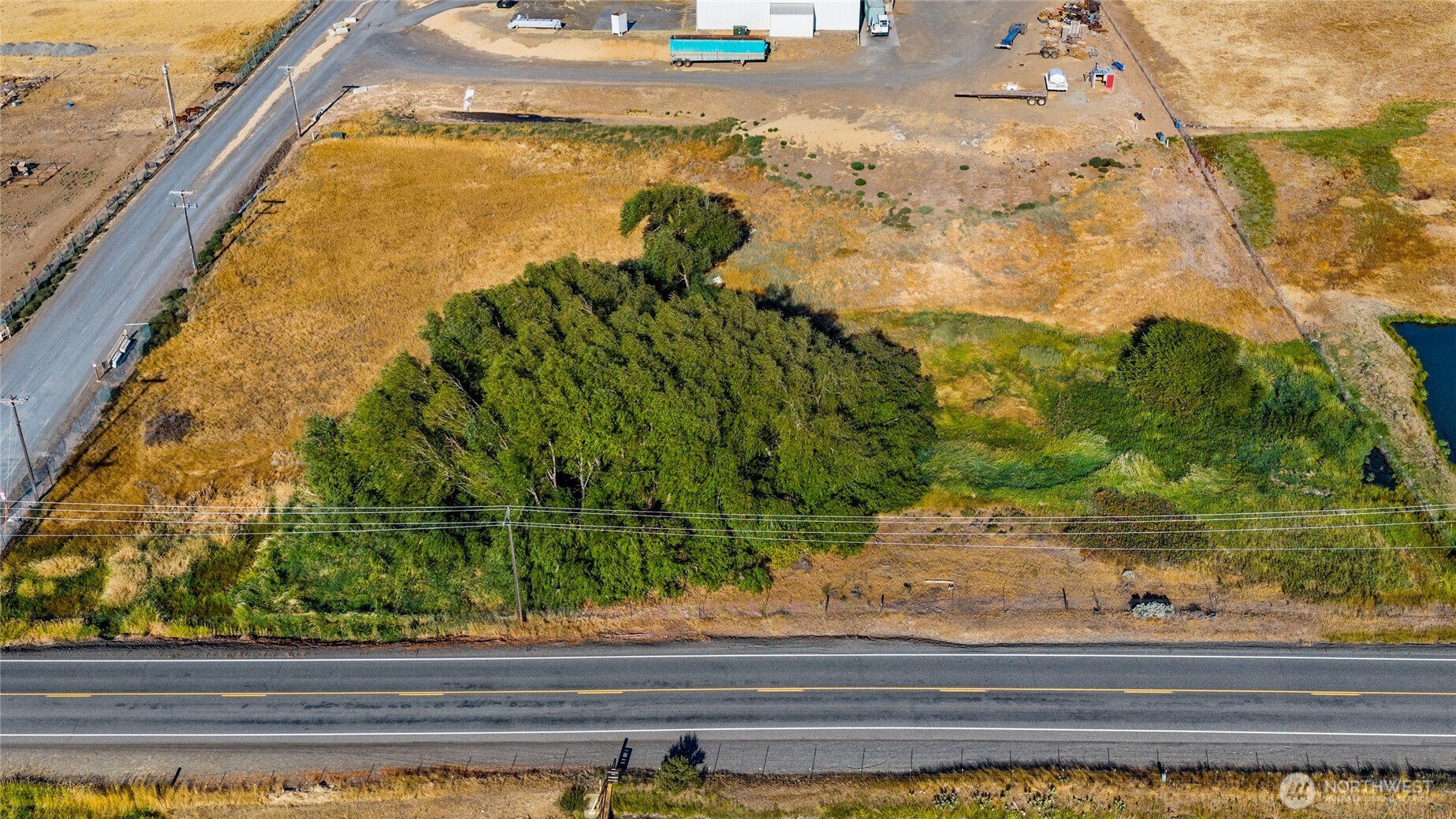 a view of a garden from a window