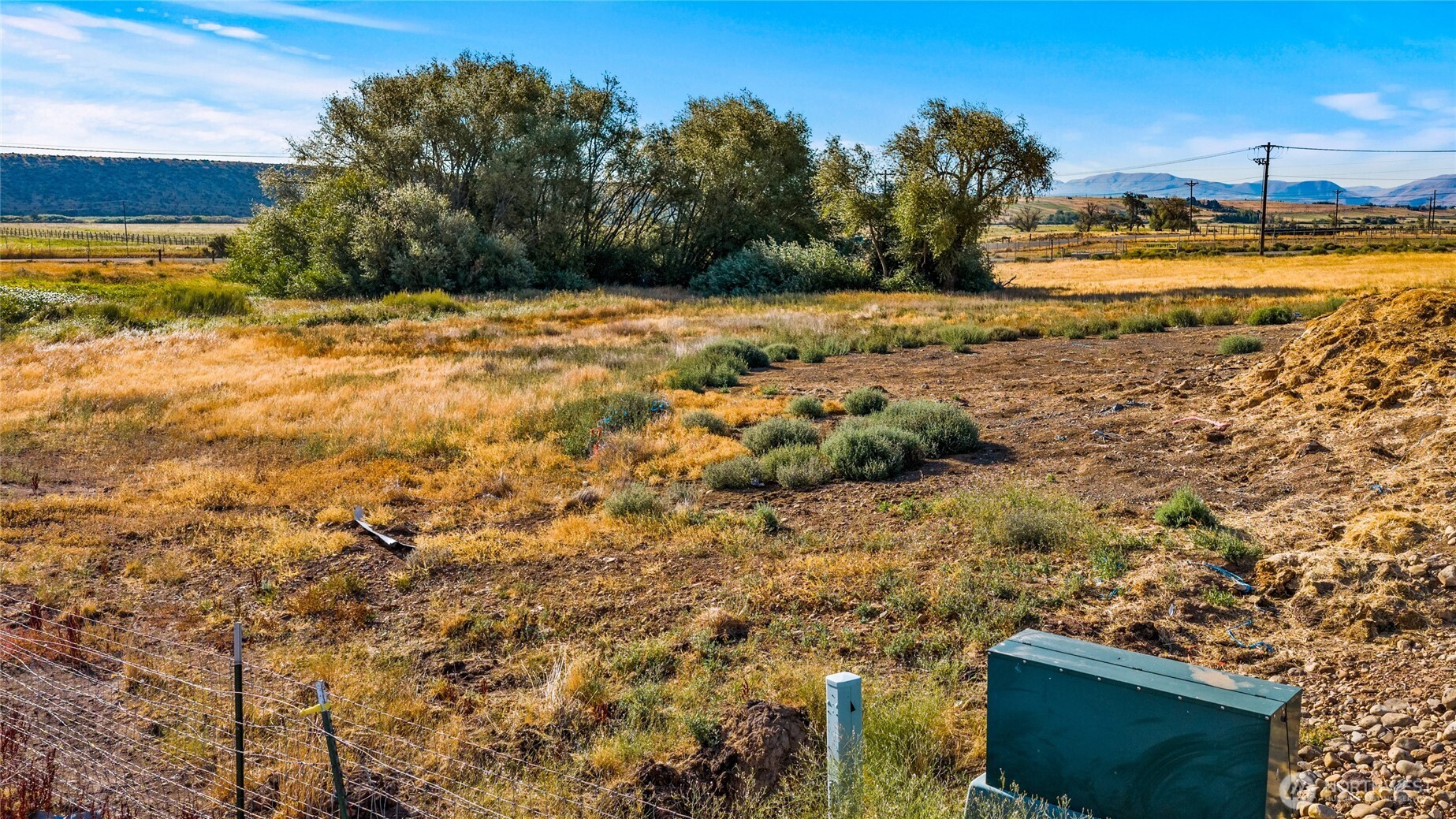 793 X Reecer Creek Road Ellensburg, WA 98926 - Photo 16 of 36 a view of a yard with an trees