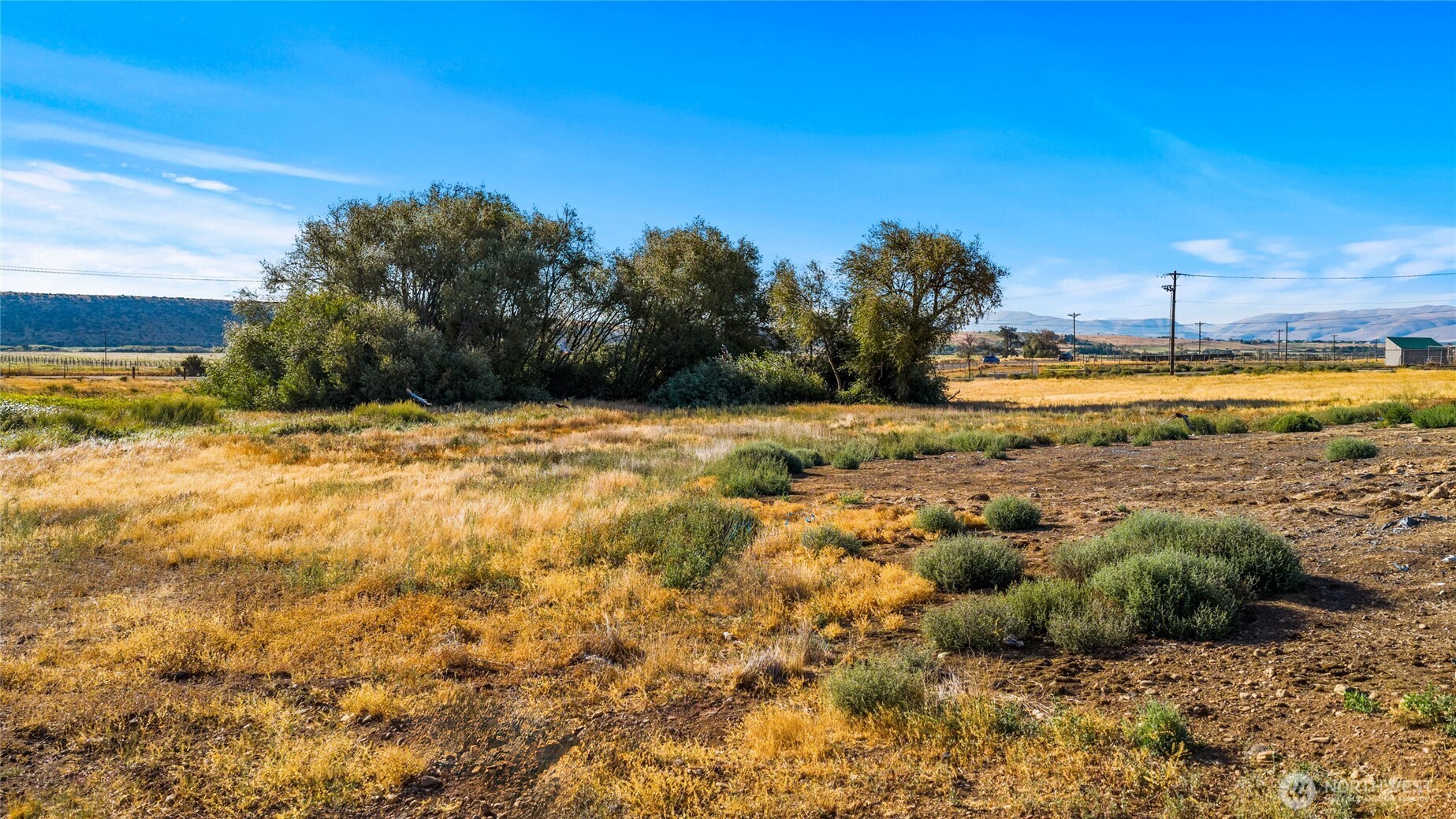 793 X Reecer Creek Road Ellensburg, WA 98926 - Photo 17 of 36 a view of a yard with an house