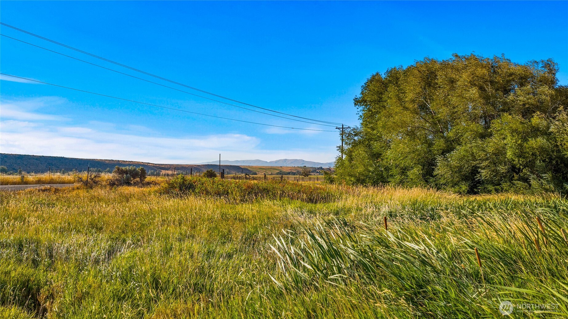 793 X Reecer Creek Road Ellensburg, WA 98926 - Photo 20 of 36 a view of an ocean from a yard