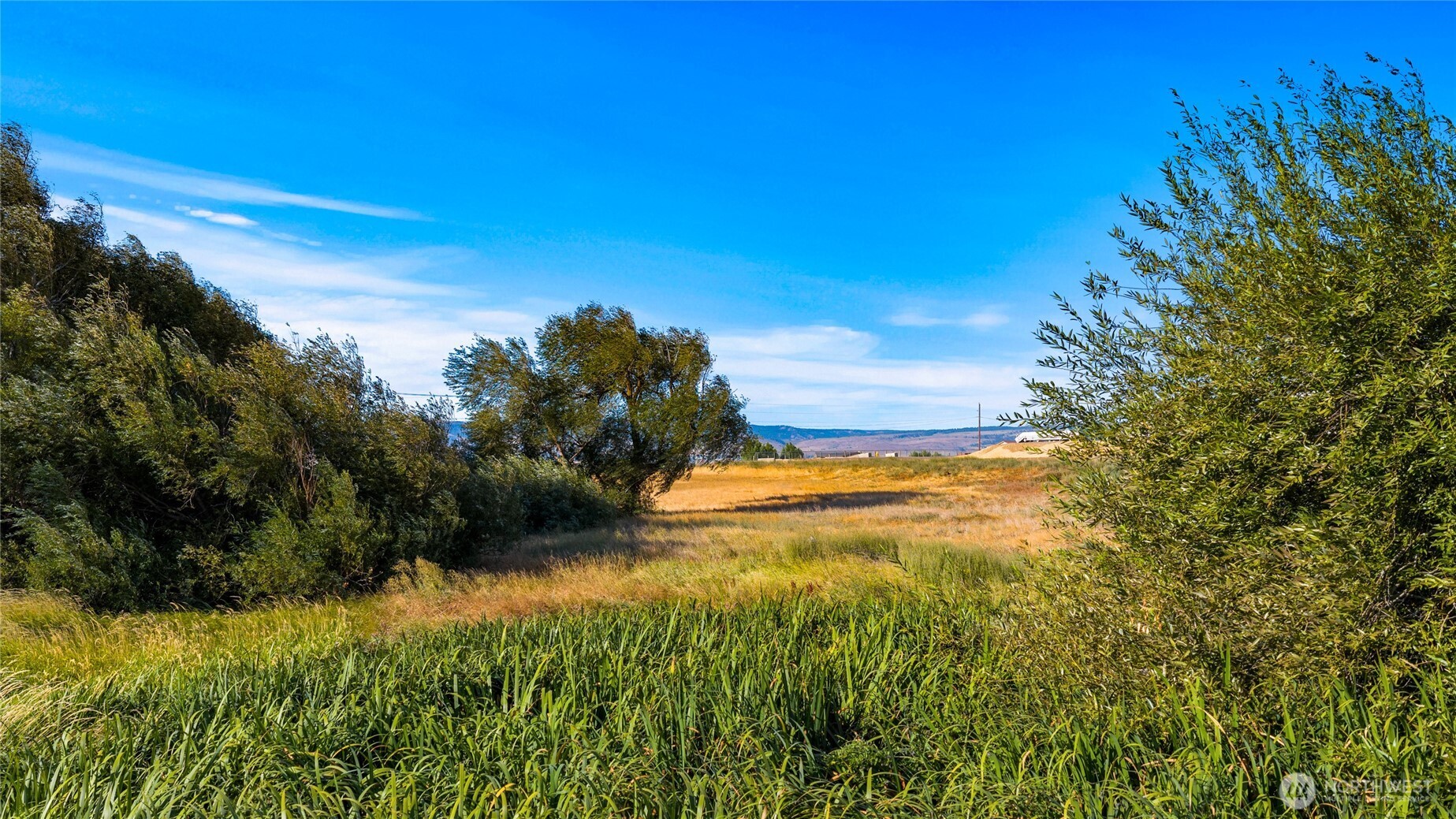 793 X Reecer Creek Road Ellensburg, WA 98926 - Photo 21 of 36 a view of ocean view