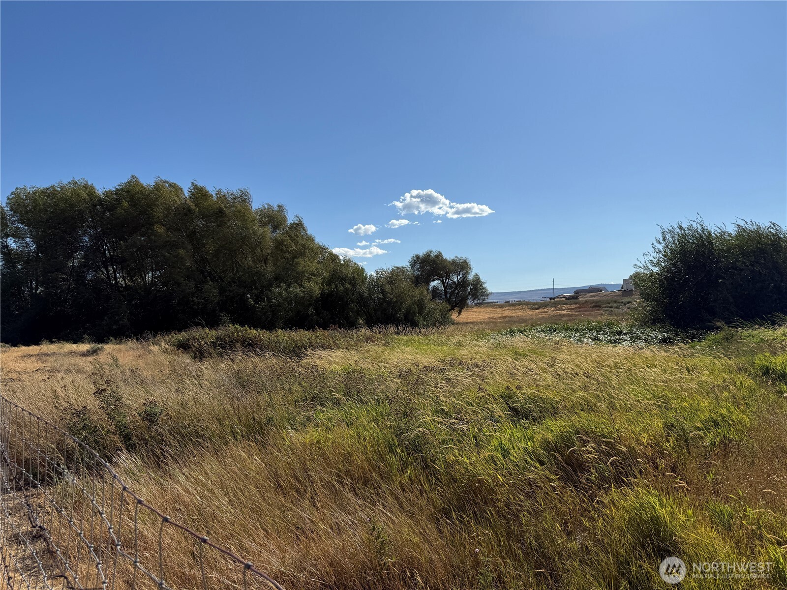 793 X Reecer Creek Road Ellensburg, WA 98926 - Photo 29 of 36 a view of a dry yard