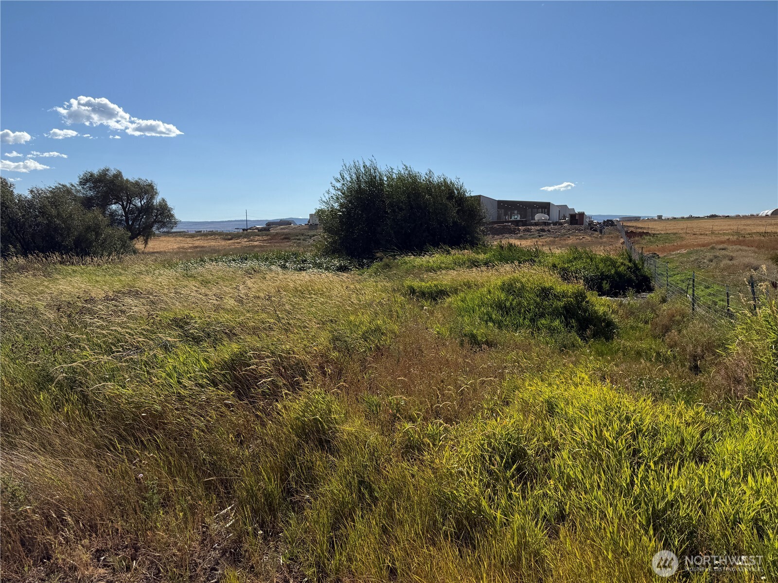 793 X Reecer Creek Road Ellensburg, WA 98926 - Photo 30 of 36 a view of a bunch of trees in a field