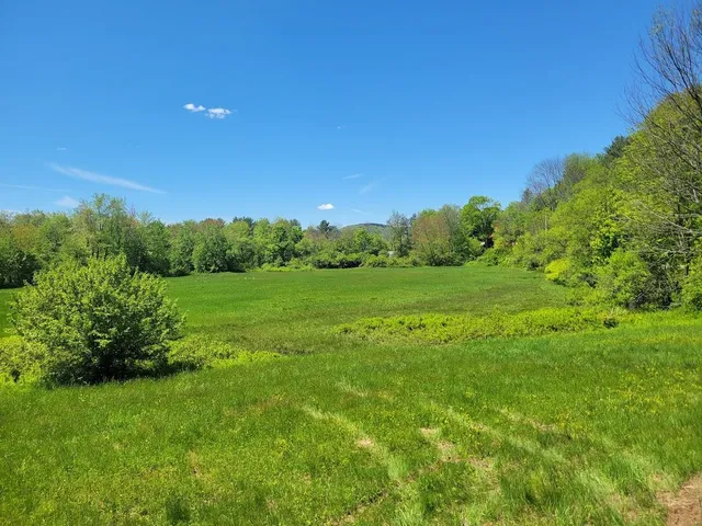 $175,000 | Lot91 Eastern District Road, Danbury, NH 03230