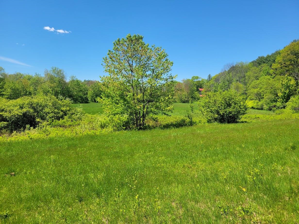Lot91 Eastern District Road Danbury, NH 03230 - Photo 11 of 13