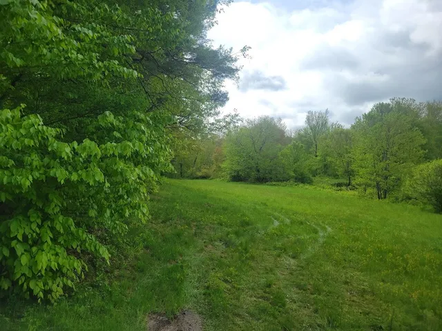 $175,000 | Lot91 Eastern District Road, Danbury, NH 03230
