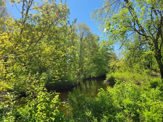 $175,000 | Lot91 Eastern District Road, Danbury, NH 03230