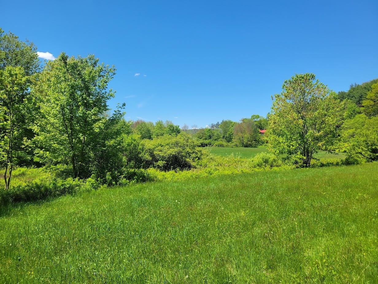 Lot91 Eastern District Road Danbury, NH 03230 - Photo 2 of 13