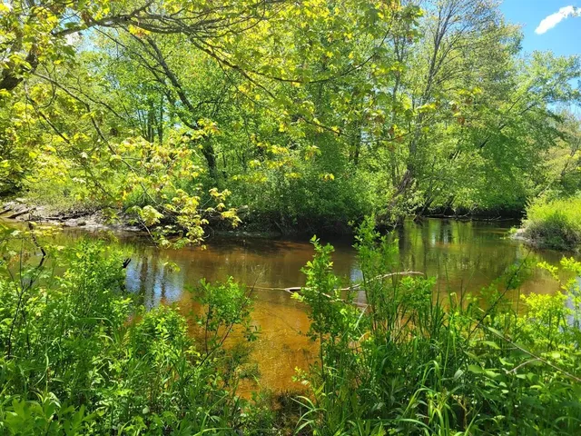 $175,000 | Lot91 Eastern District Road, Danbury, NH 03230