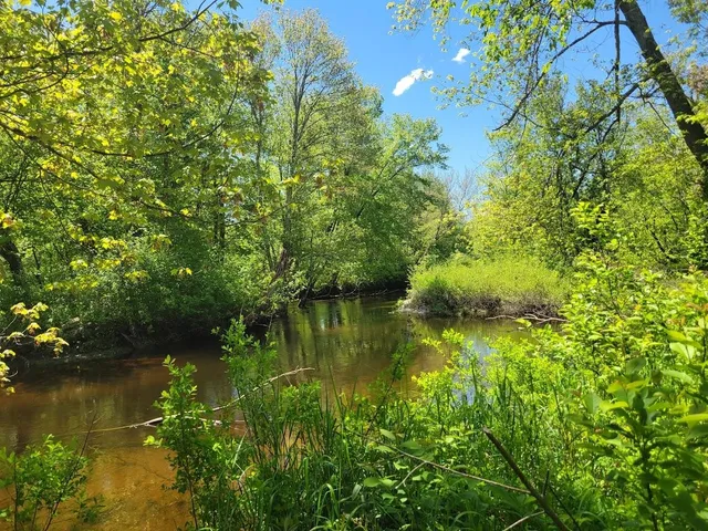 $175,000 | Lot91 Eastern District Road, Danbury, NH 03230