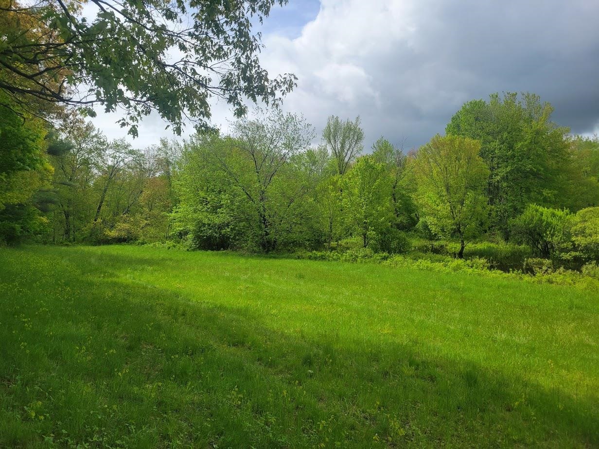 Lot91 Eastern District Road Danbury, NH 03230 - Photo 6 of 13