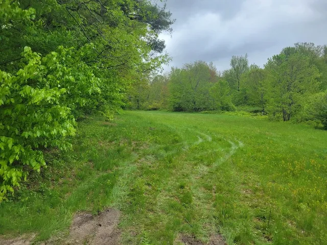 $175,000 | Lot91 Eastern District Road, Danbury, NH 03230