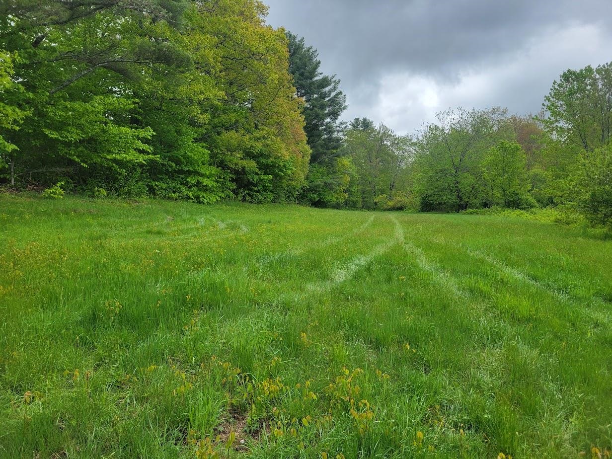 Lot91 Eastern District Road Danbury, NH 03230 - Photo 9 of 13